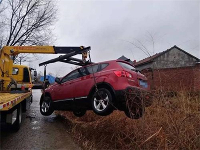 龙沙区楚雄道路救援